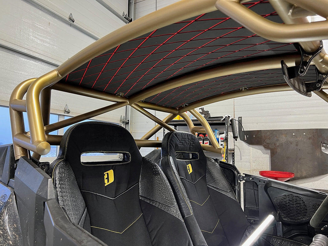 Polaris RZR D3 Roll Cage