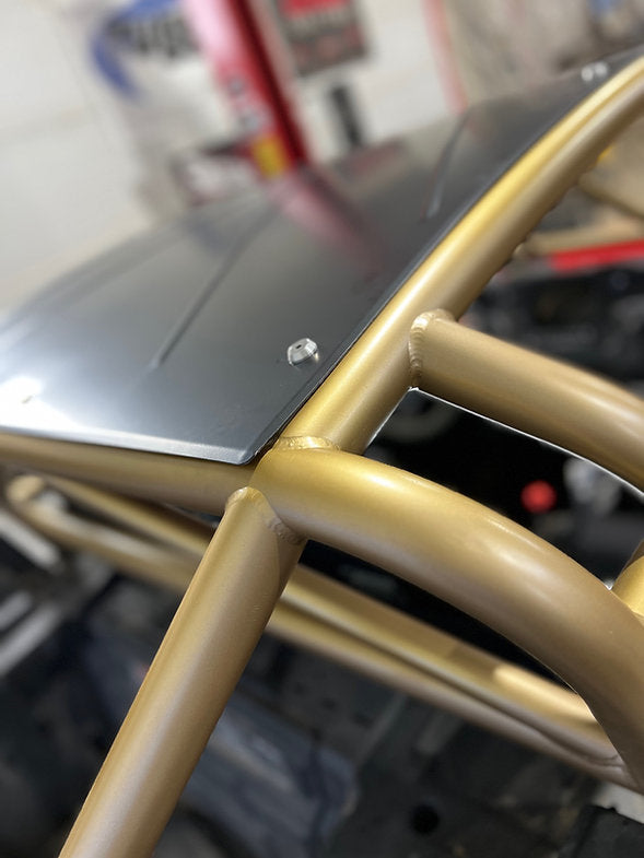 Polaris RZR D3 Roll Cage